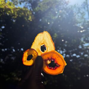 Perzik, peer & pruim mix