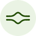 Bloedvaten