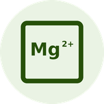 Magnesium